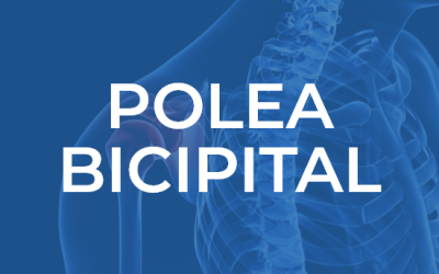 Polea Bicipital