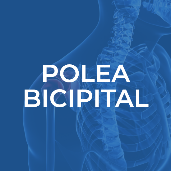 Polea Bicipital